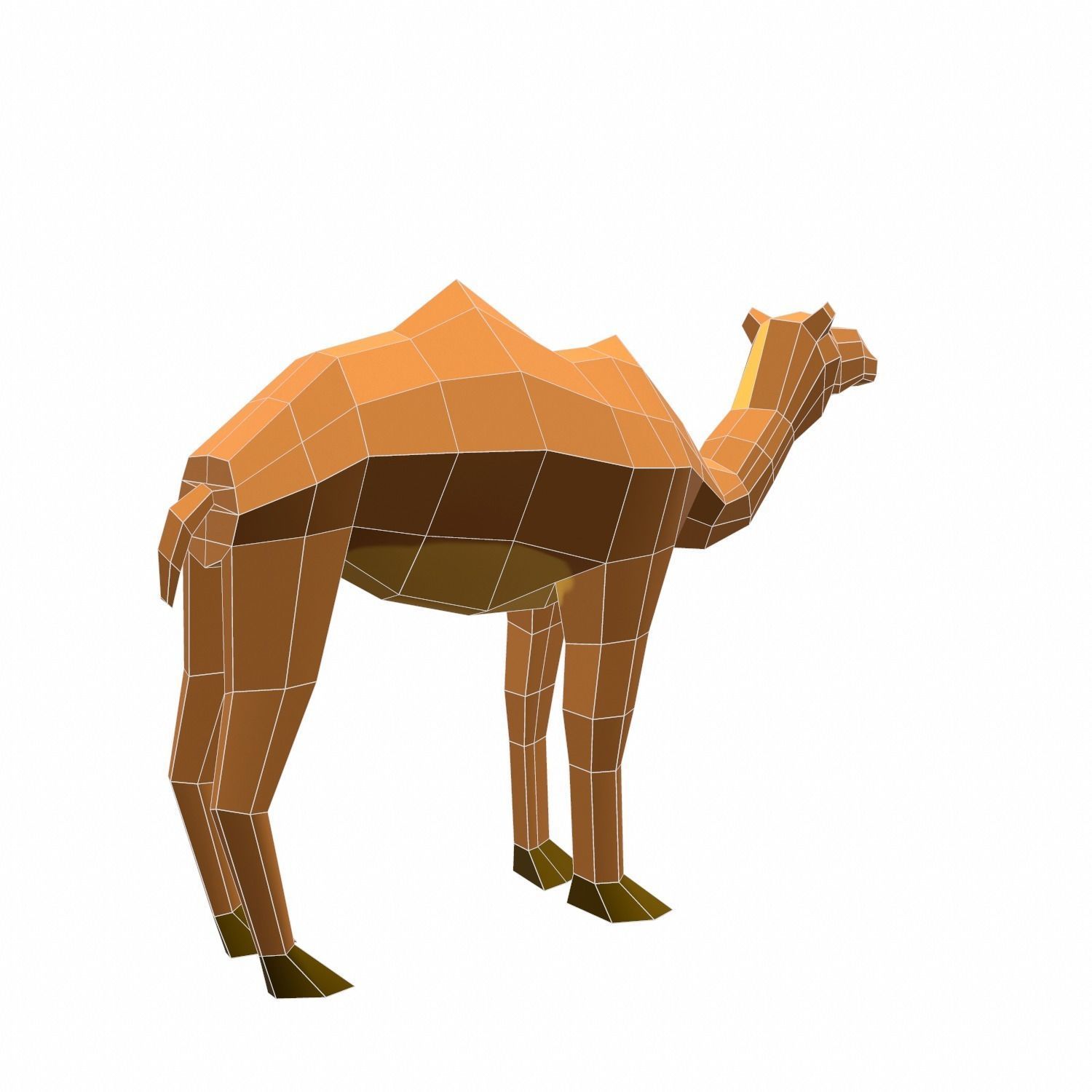 Camel Cartoon Low-poly 3D model_10