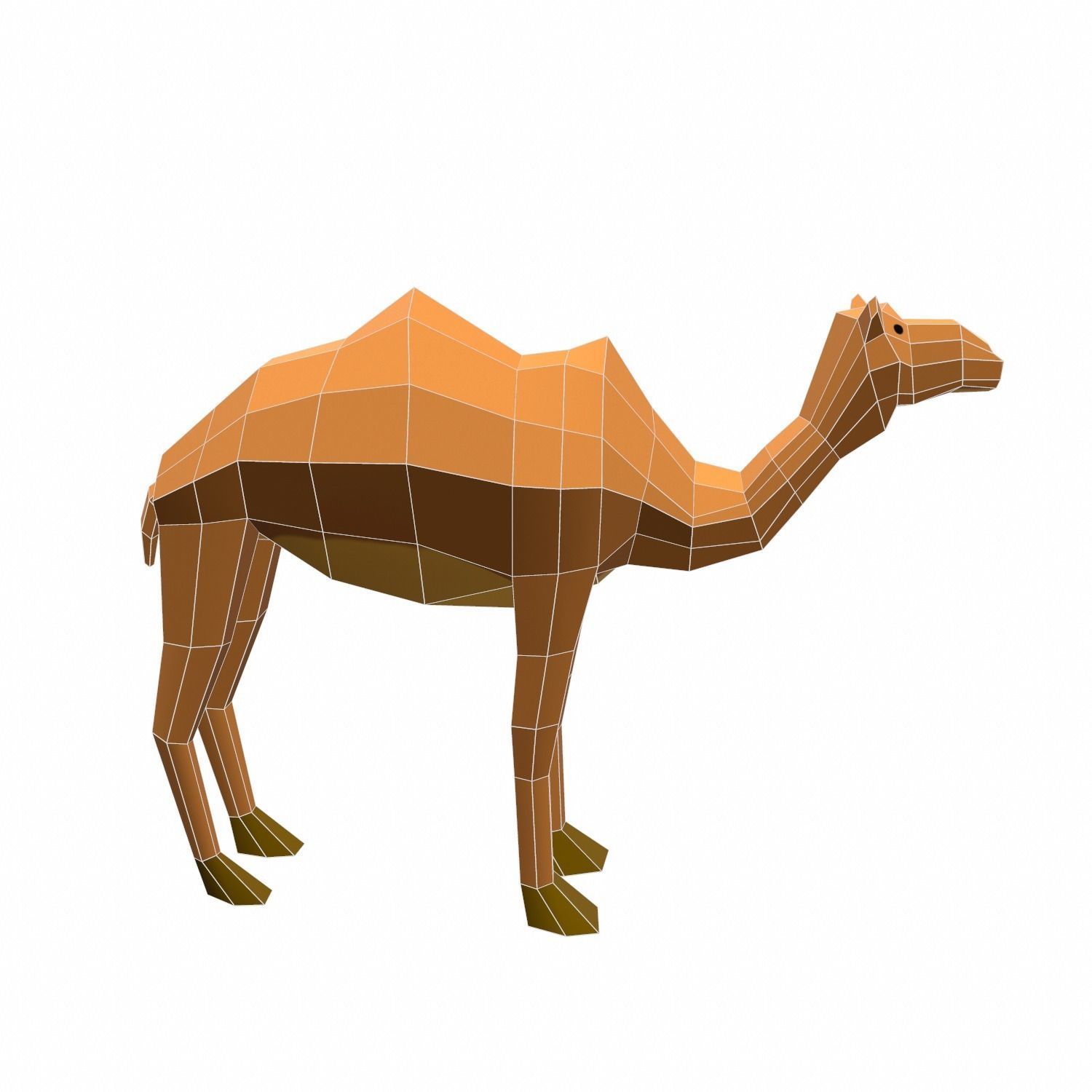 Camel Cartoon Low-poly 3D model_9