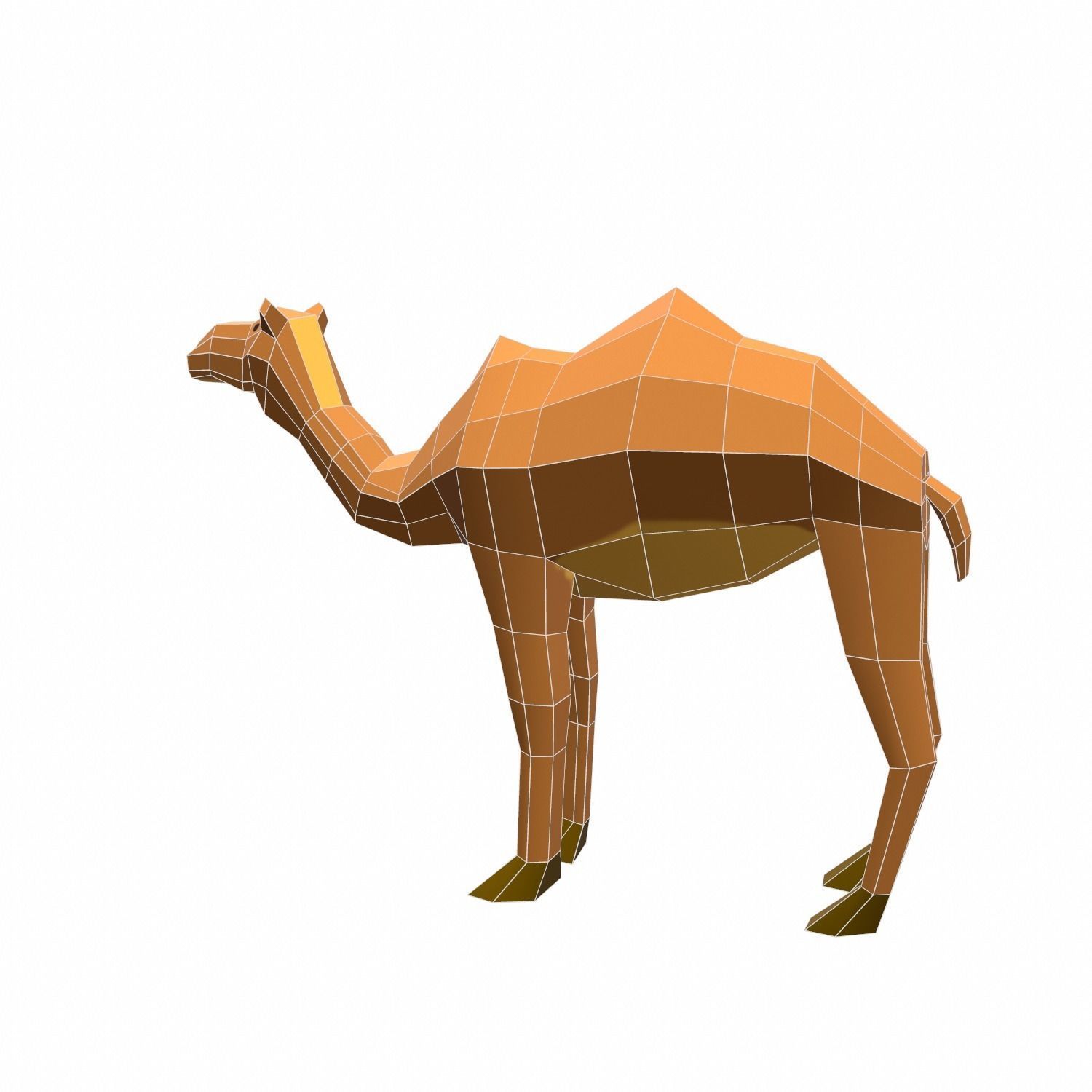 Camel Cartoon Low-poly 3D model_12