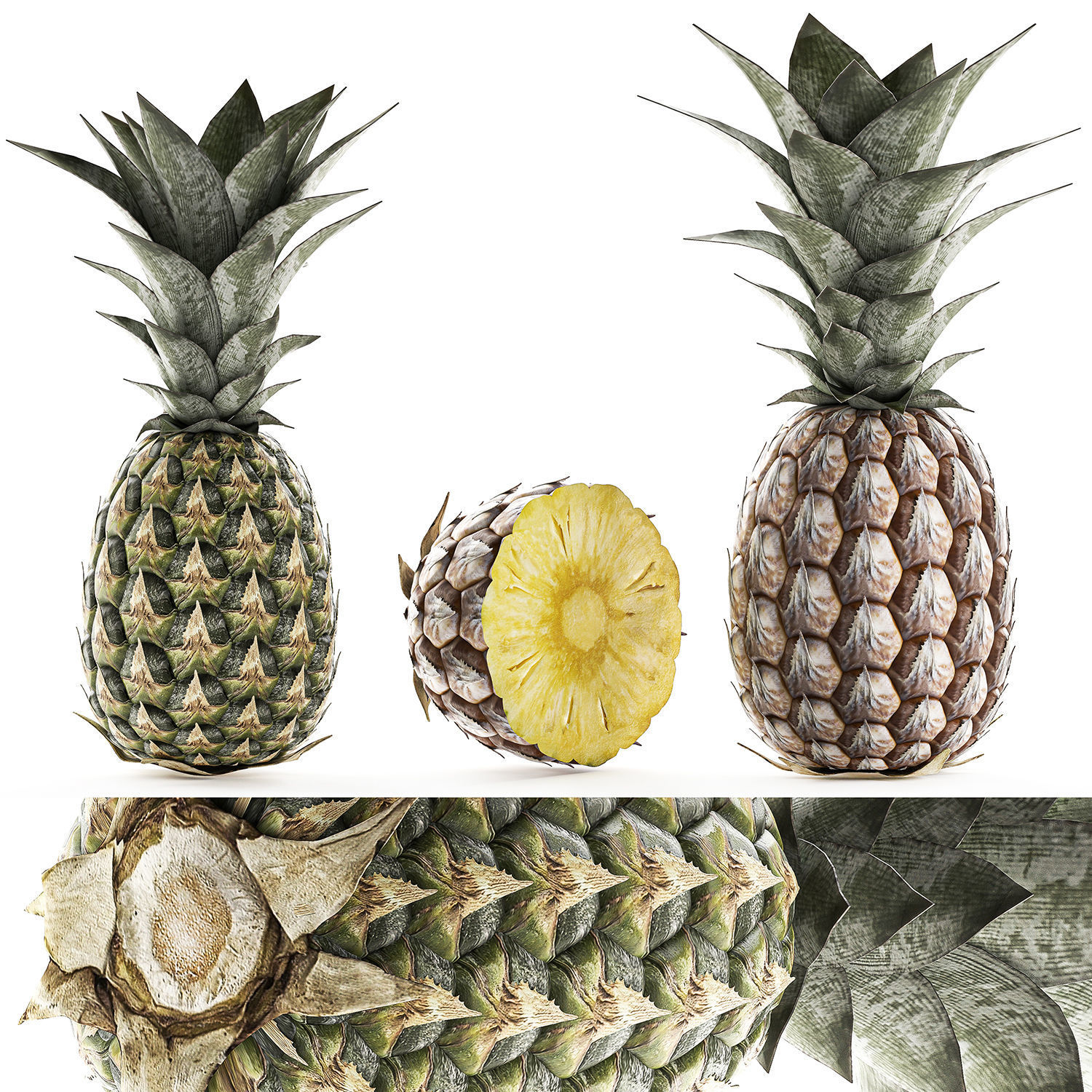 Pineapple Fruit Set 3D model_4