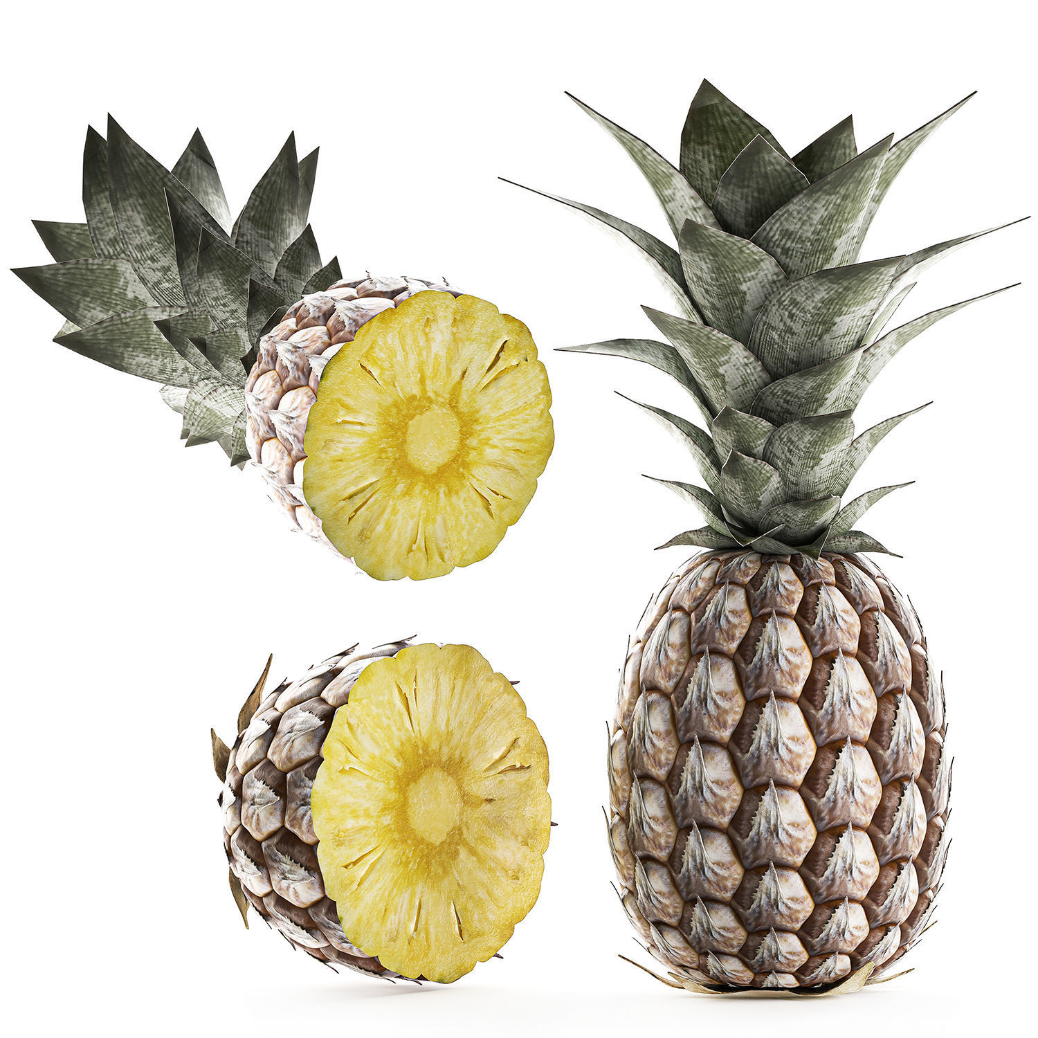 Pineapple Fruit Set 3D model_7