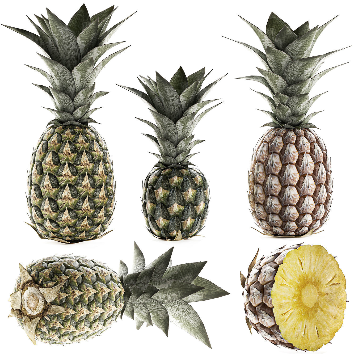Pineapple Fruit Set 3D model_1