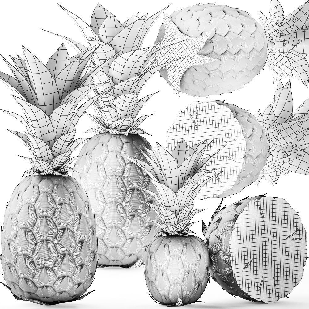 Pineapple Fruit Set 3D model_10