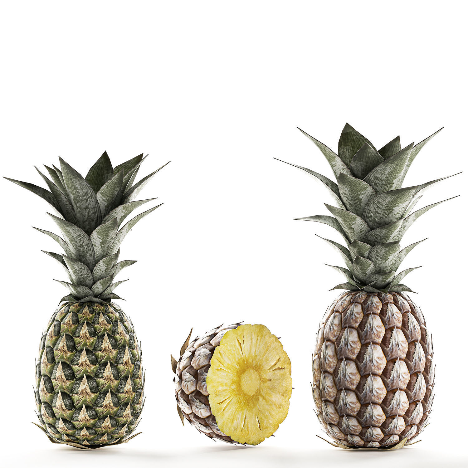 Pineapple Fruit Set 3D model_5