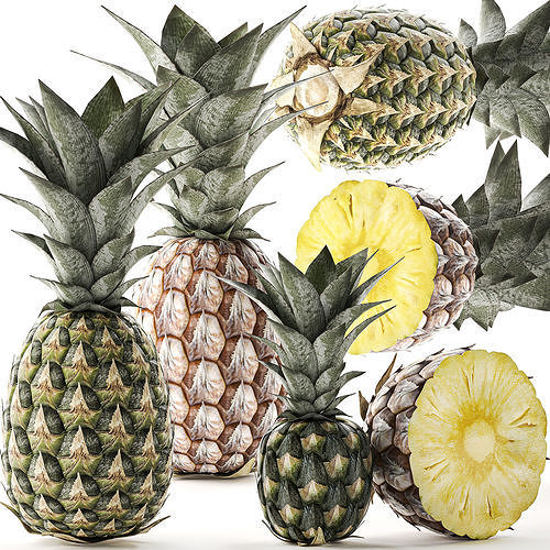 Pineapple Fruit Set 3D model