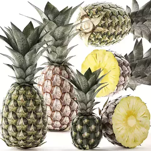 Pineapple Fruit Set 3D model