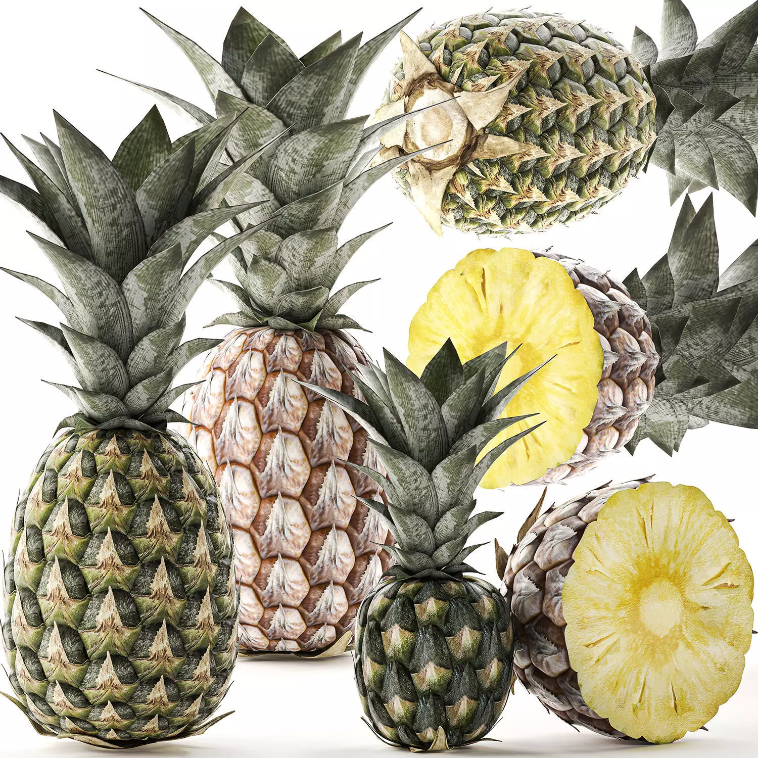 Pineapple Fruit Set 3D model_0