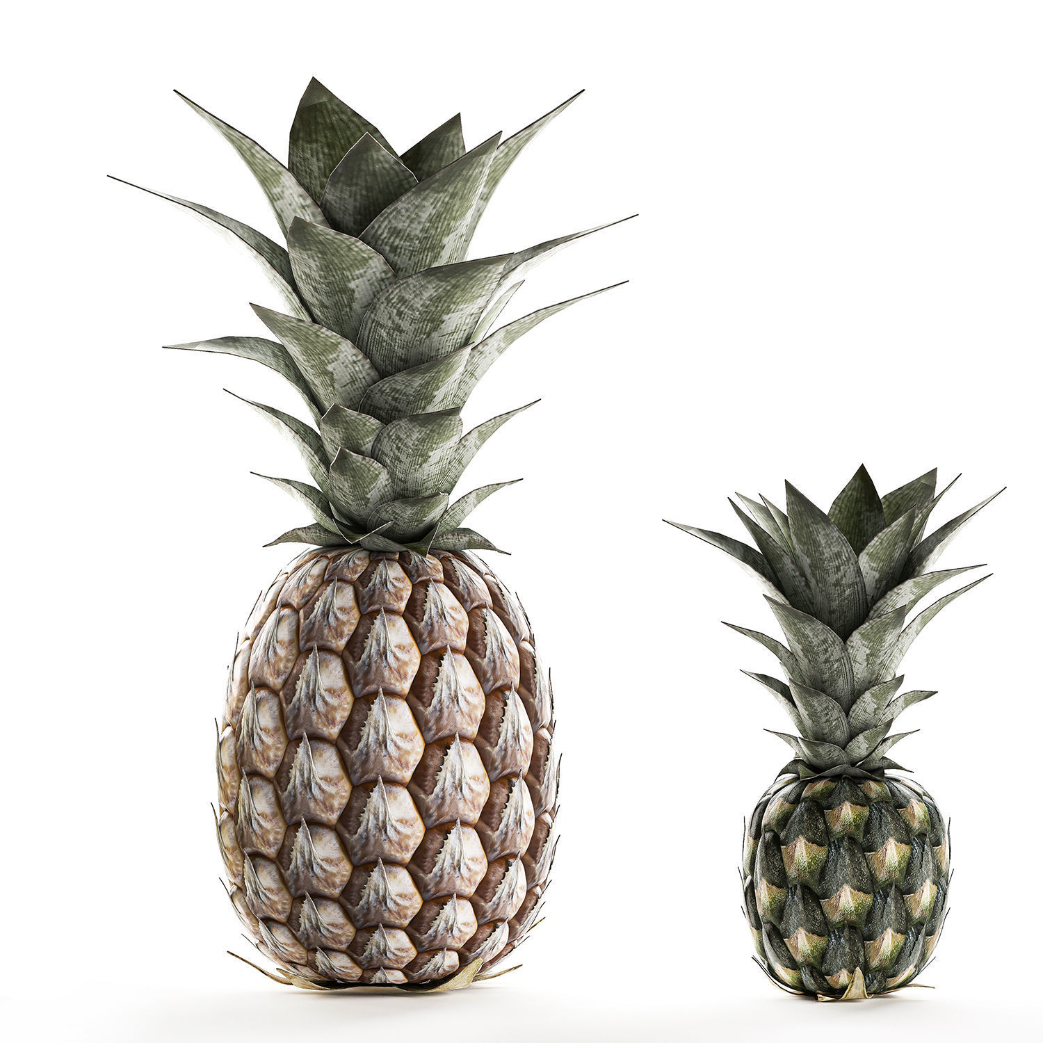 Pineapple Fruit Set 3D model_6