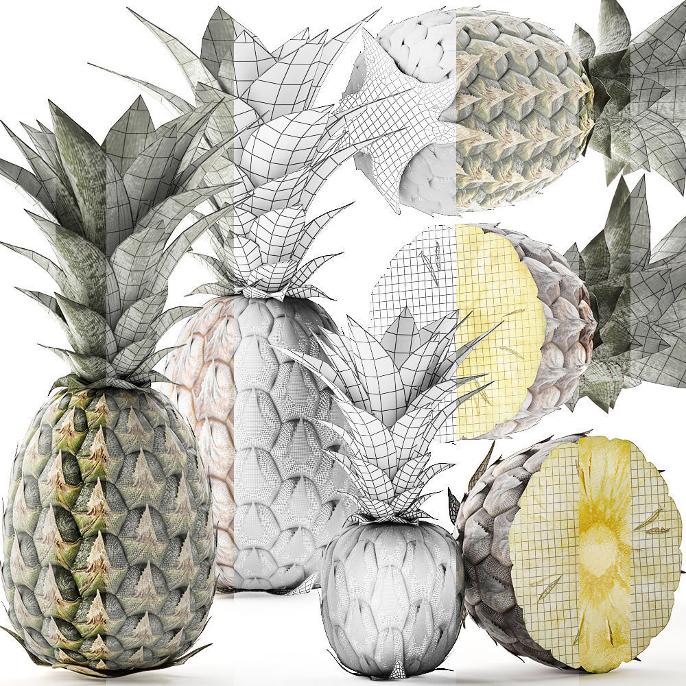 Pineapple Fruit Set 3D model_8