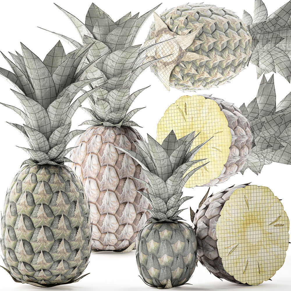 Pineapple Fruit Set 3D model_9