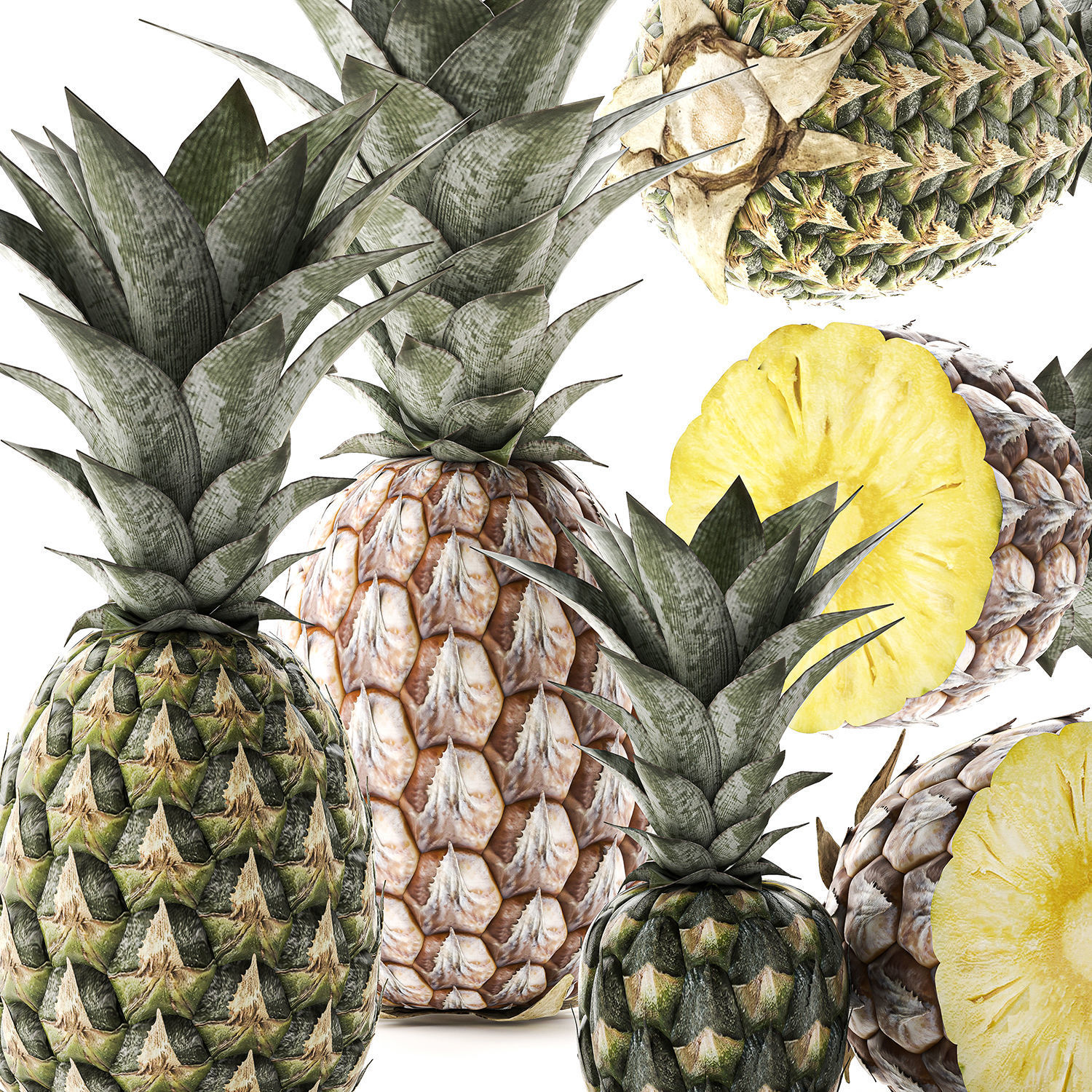 Pineapple Fruit Set 3D model_2