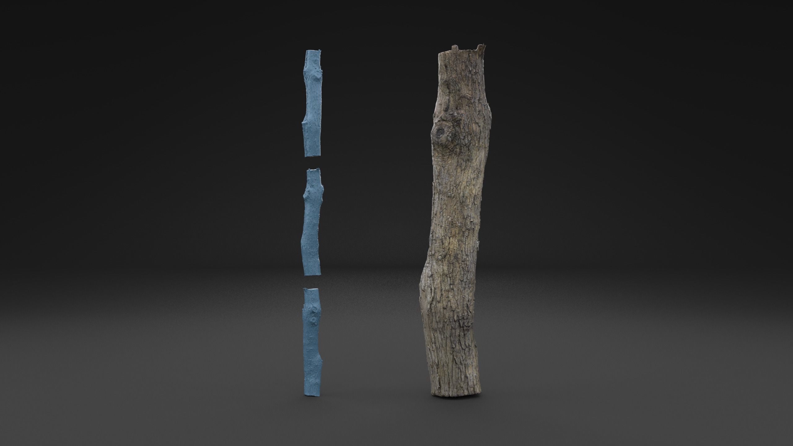Scanned Piece Of Wood Log HIGH POLY