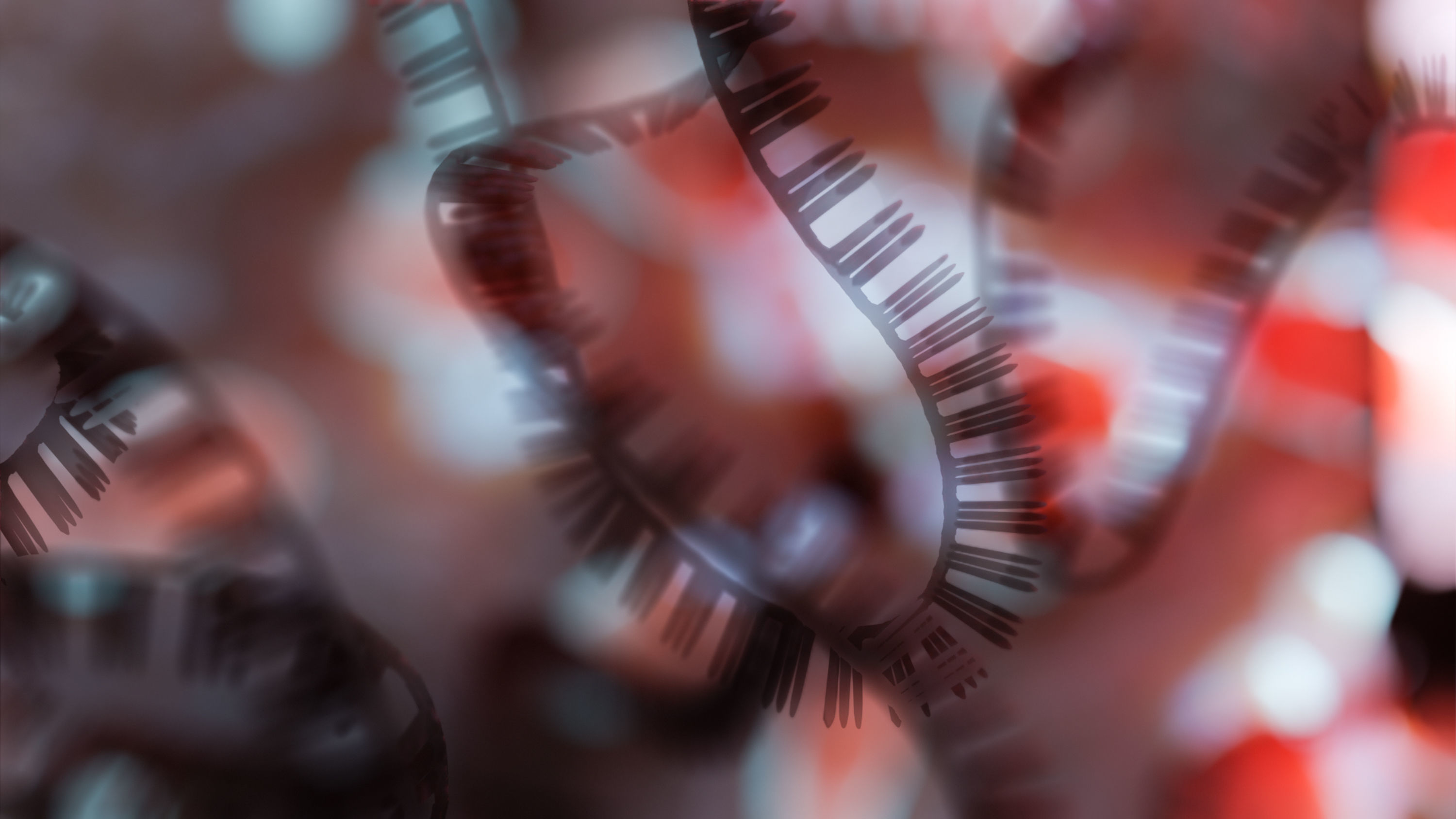 RNA collection - 4K - Ribonucleic acid Low-poly 3D model_19