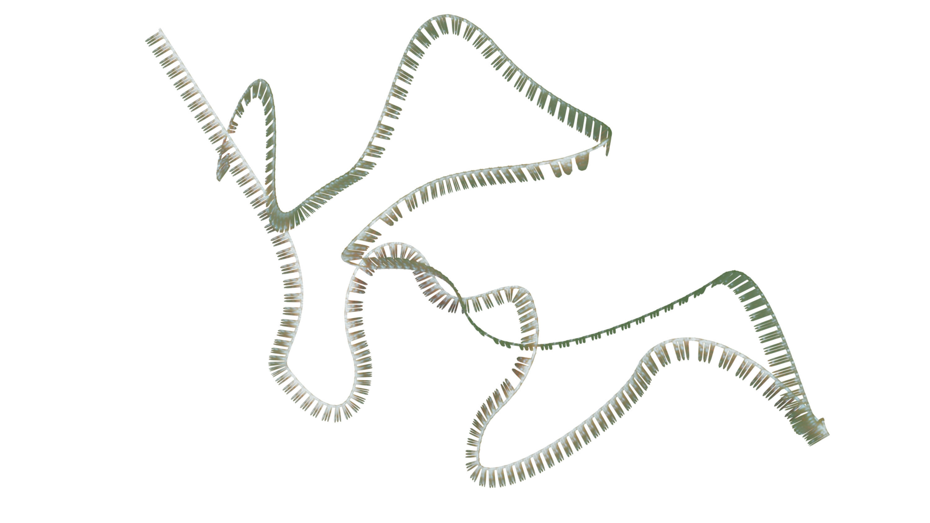 RNA collection - 4K - Ribonucleic acid Low-poly 3D model_14