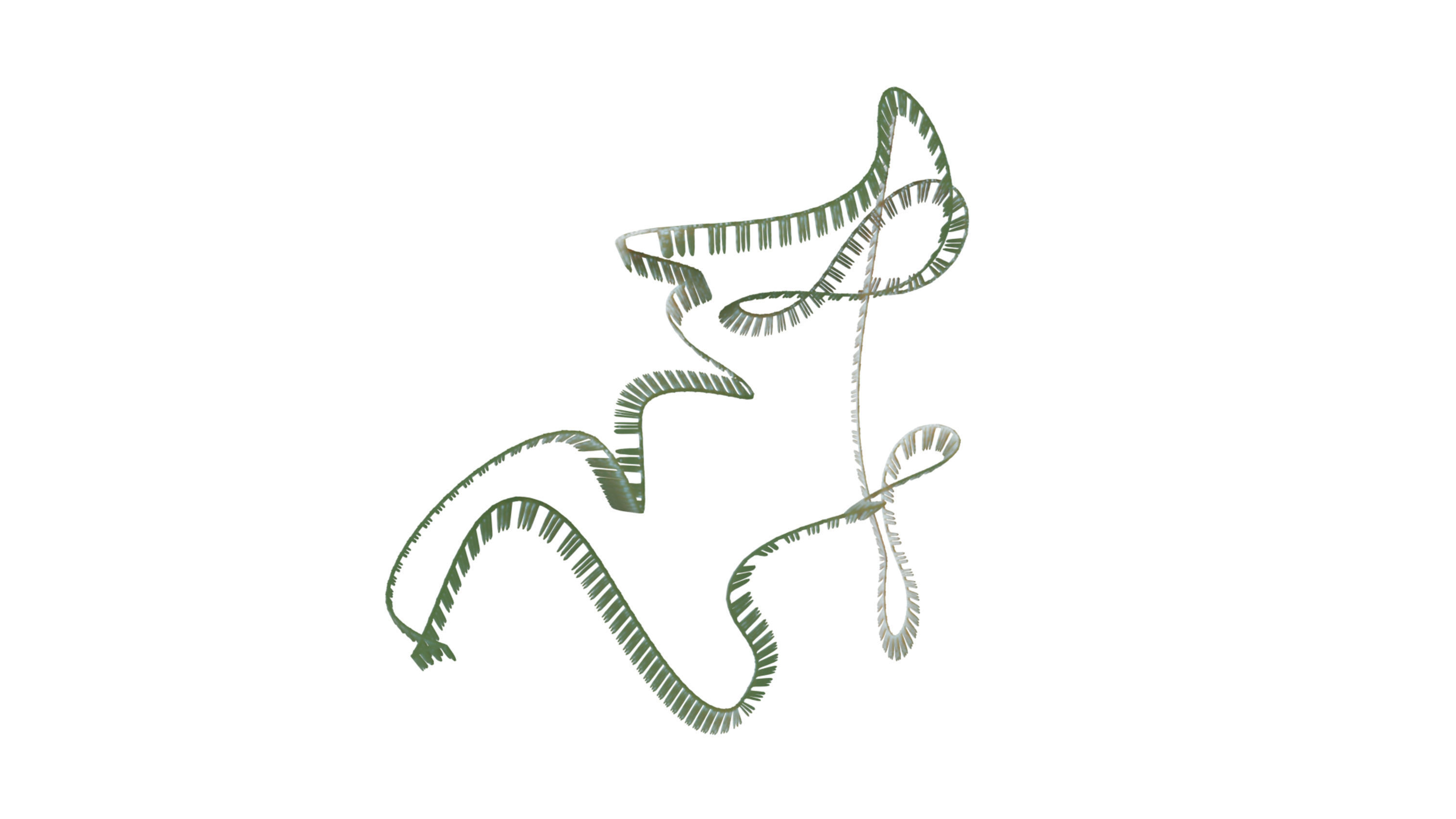 RNA collection - 4K - Ribonucleic acid Low-poly 3D model_15