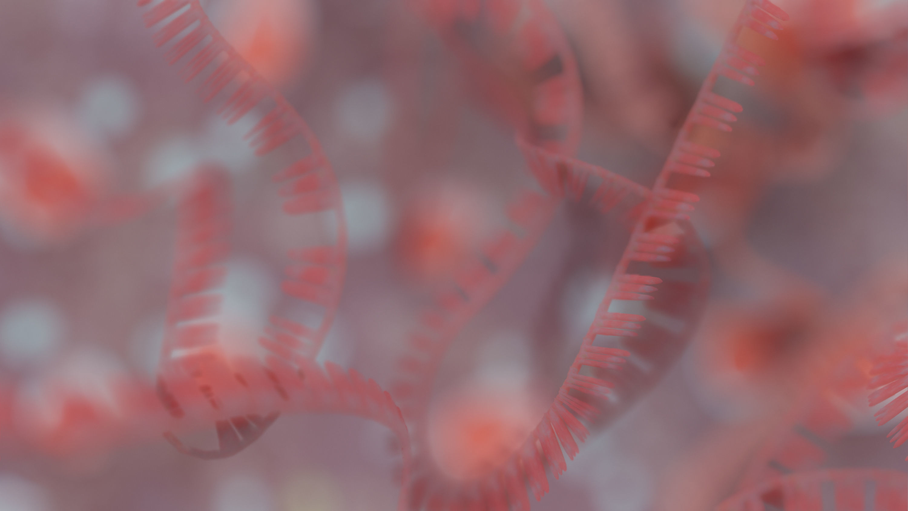 RNA collection - 4K - Ribonucleic acid Low-poly 3D model_17