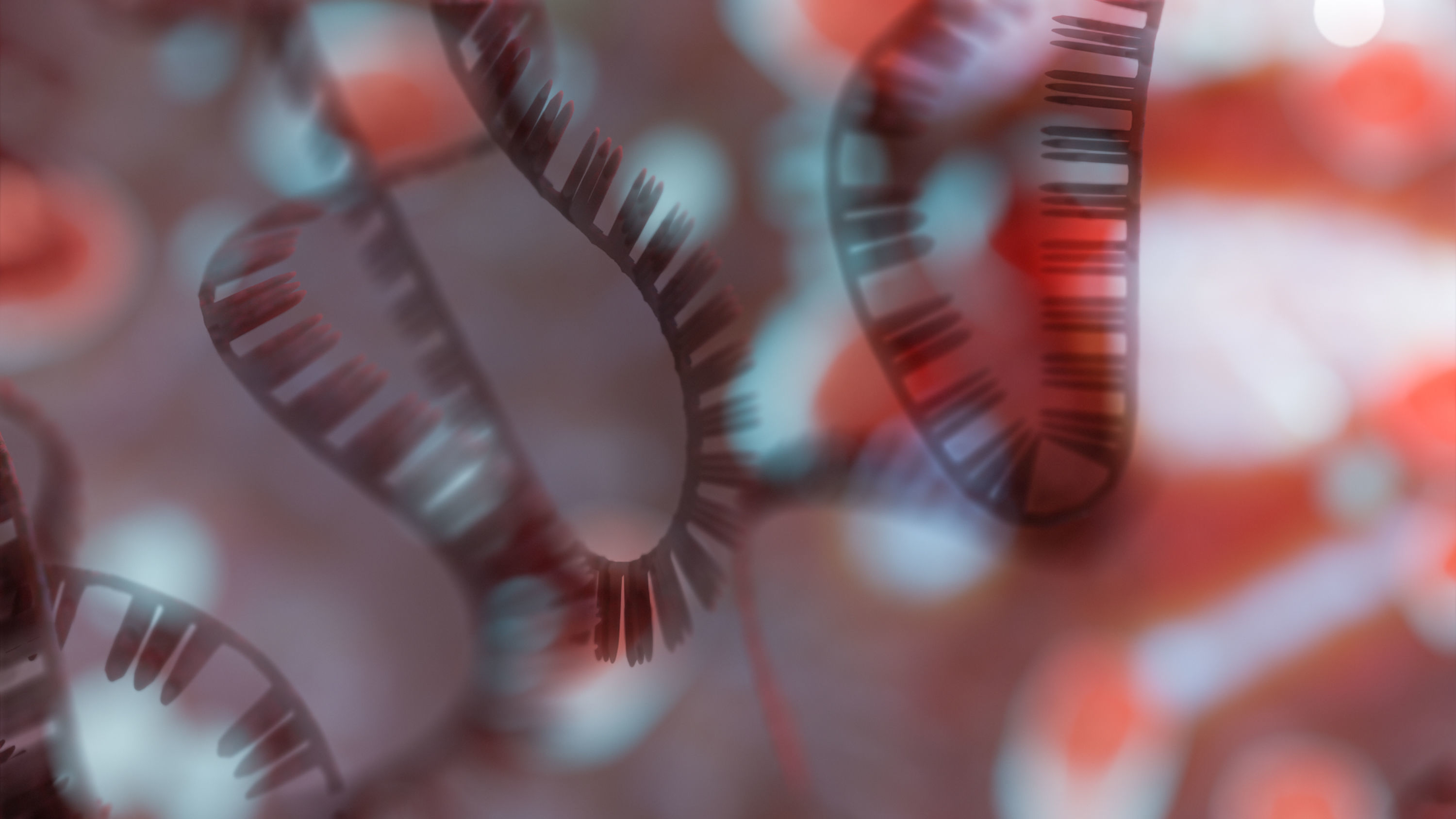 RNA collection - 4K - Ribonucleic acid Low-poly 3D model_21