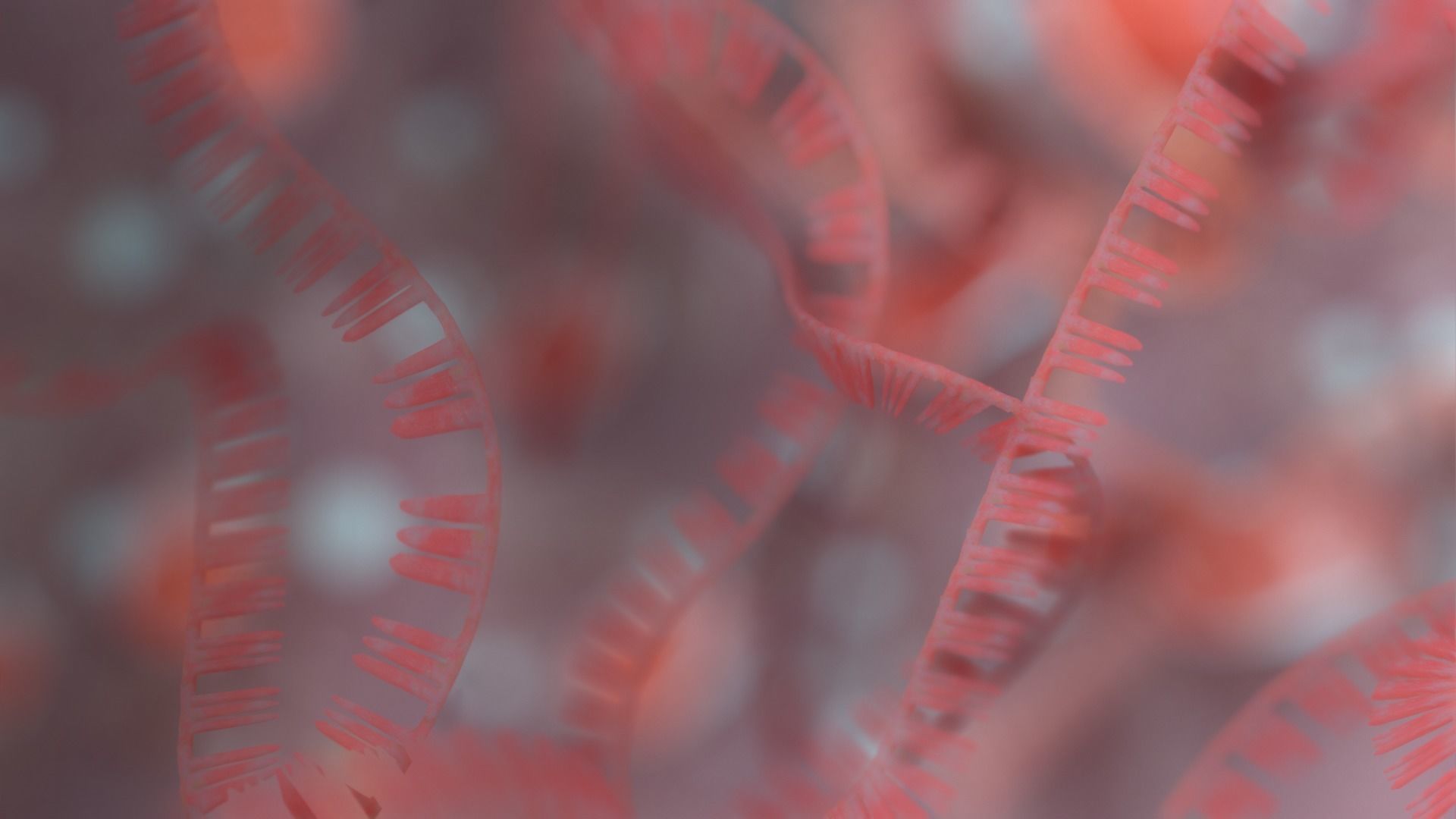 RNA collection - 4K - Ribonucleic acid Low-poly 3D model_7