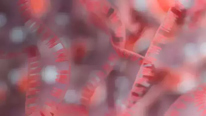 RNA collection - 4K - Ribonucleic acid Low-poly 3D model