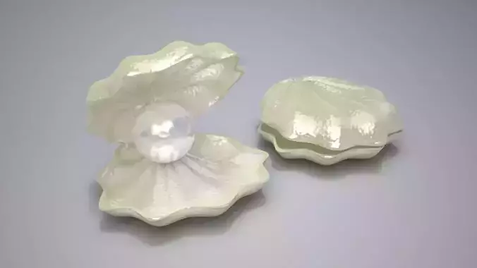 Clam Pearl 3D model
