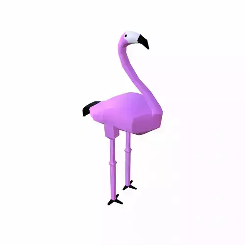 Flamingo Cartoon
