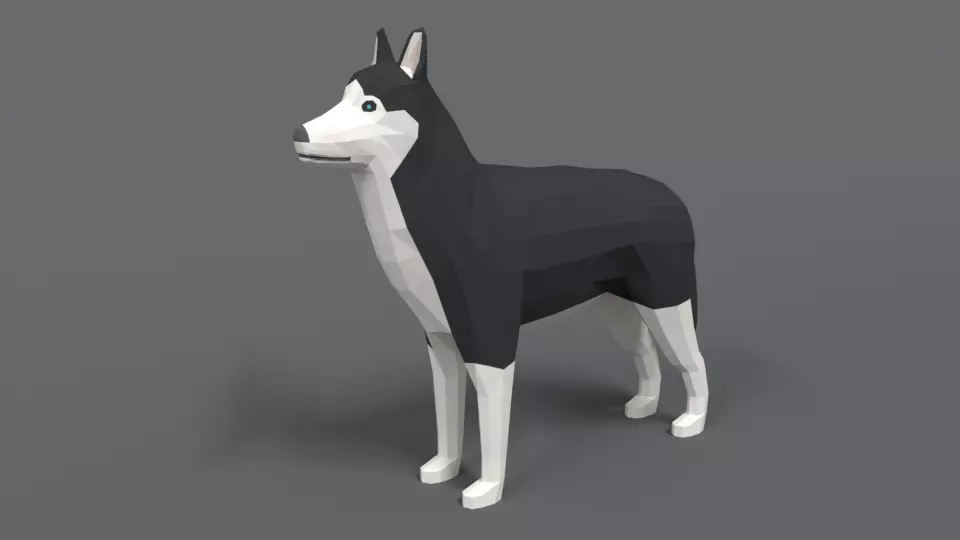 Low Poly Cartoon Husky Low-poly 3D model_0
