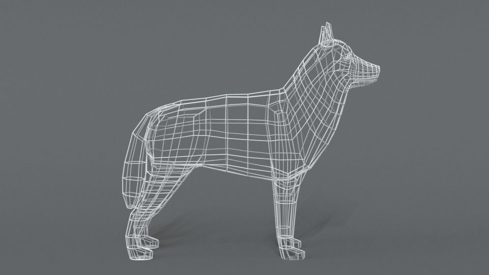 Low Poly Cartoon Husky Low-poly 3D model_14