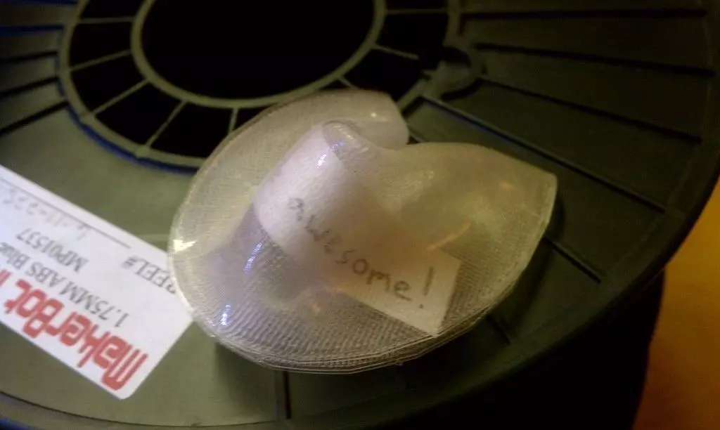 Clear PLA Fortune Cookie Free 3D print model