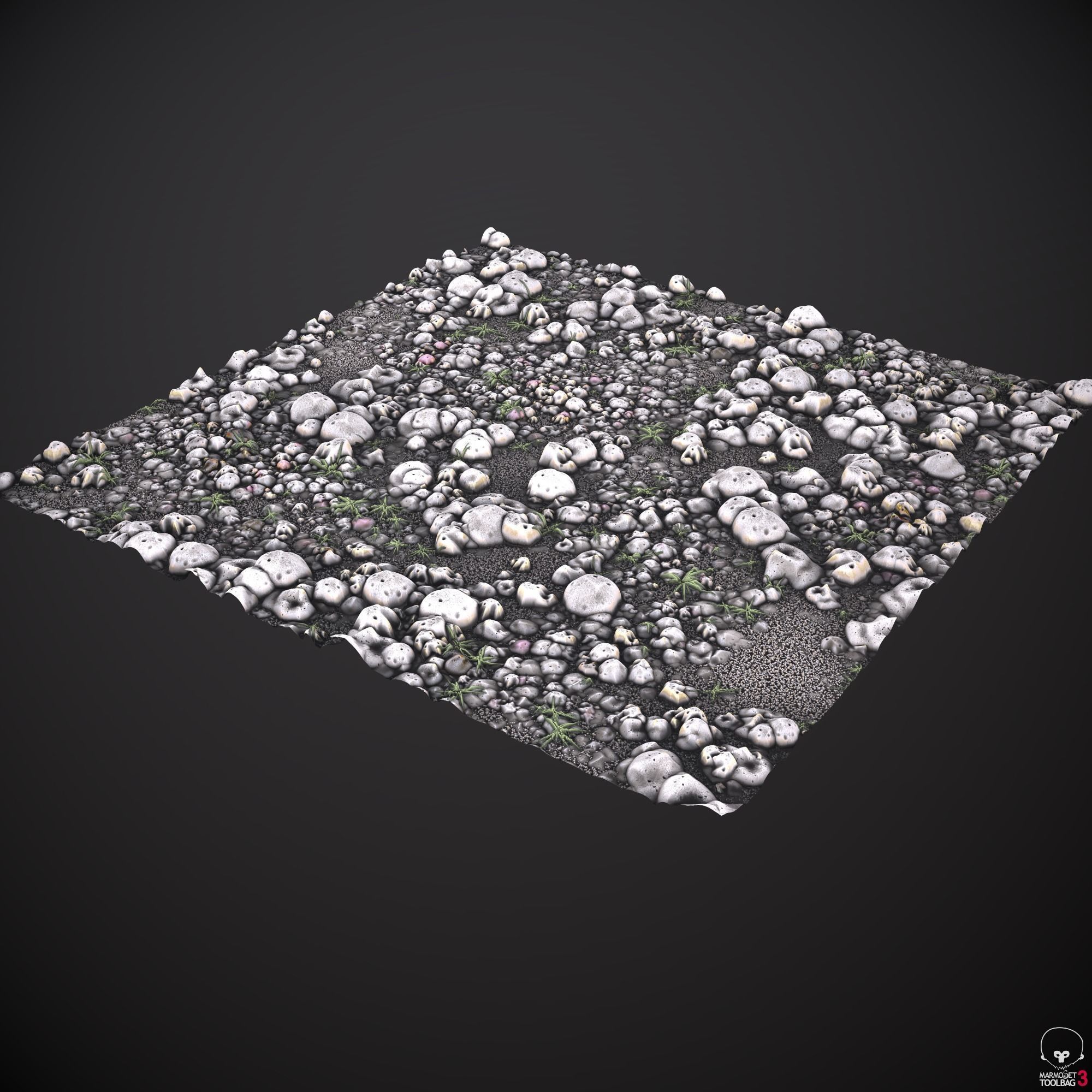 Pebble rocks and grass Texture_5