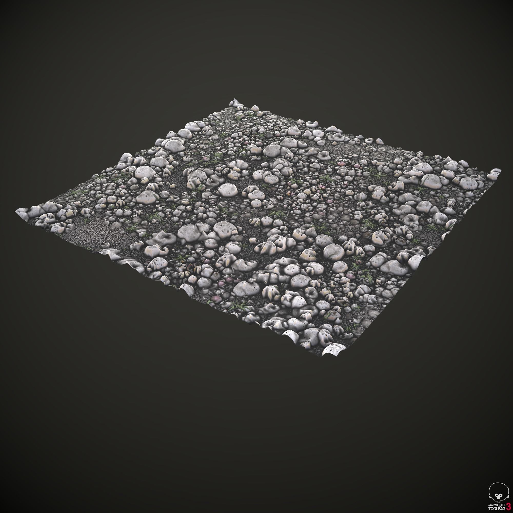 Pebble rocks and grass Texture_6