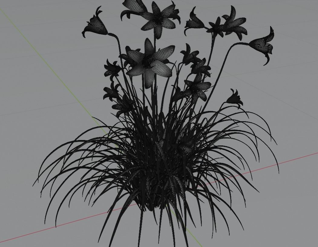 Hemerocallis lilioasphodelus 3D model_5