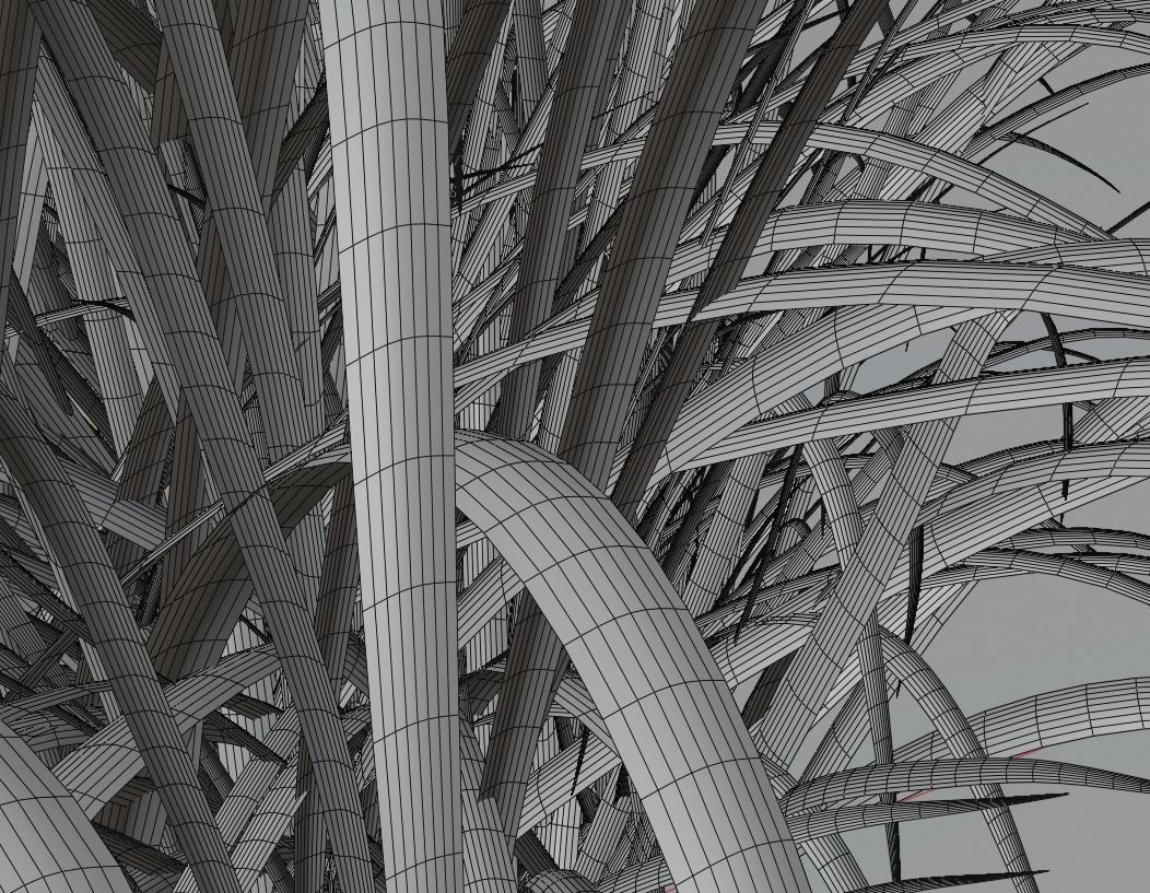 Hemerocallis lilioasphodelus 3D model_8