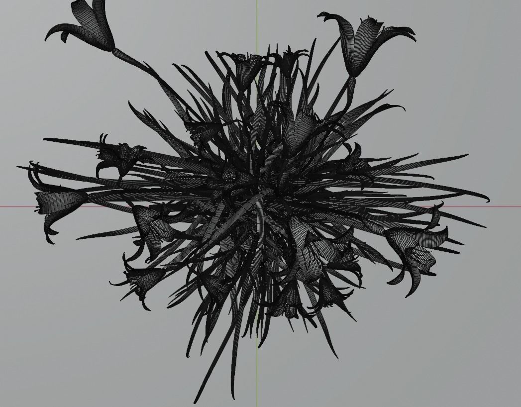 Hemerocallis lilioasphodelus 3D model_6