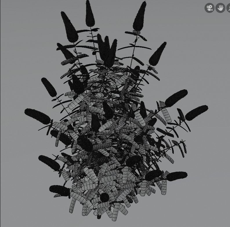 Buddleja davidii White 3D model_4