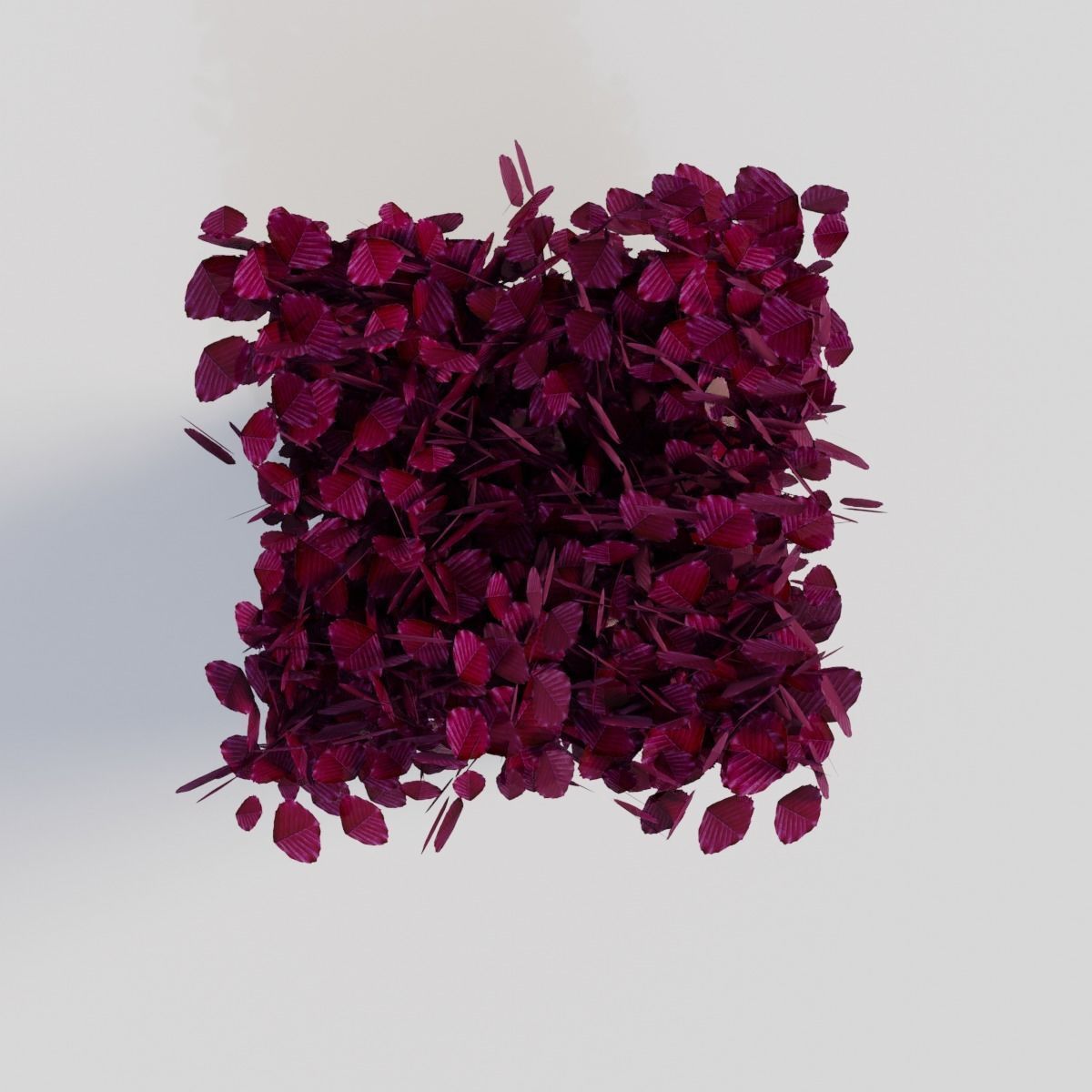 Fagus sylvatica Atropunicea 3D model_2