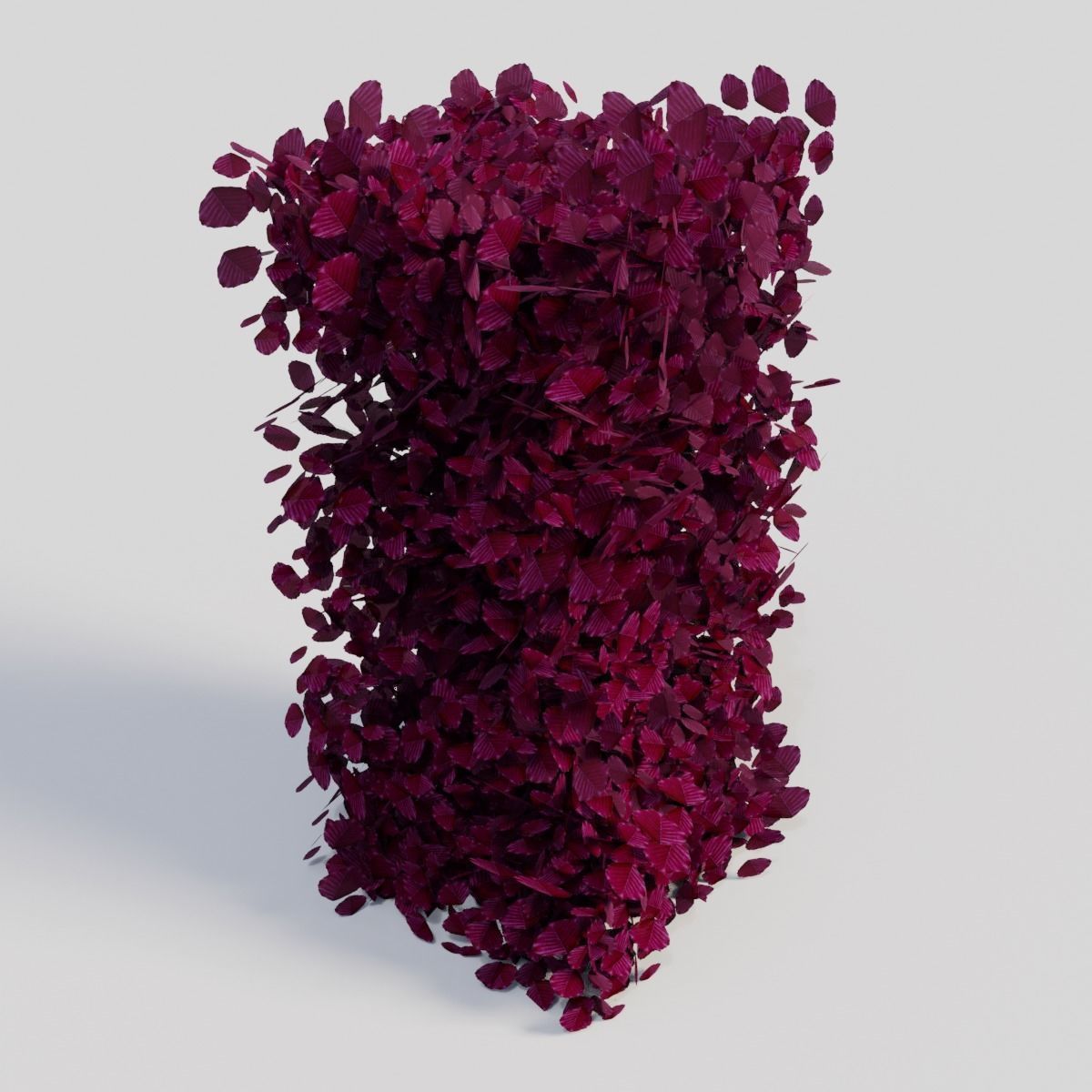 Fagus sylvatica Atropunicea 3D model_1