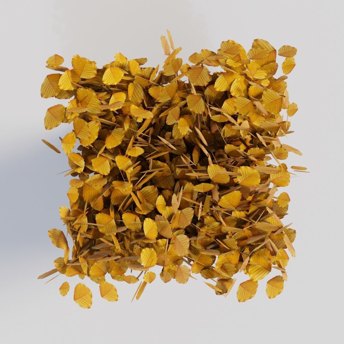 Fagus sylvatica fall 3D model_1