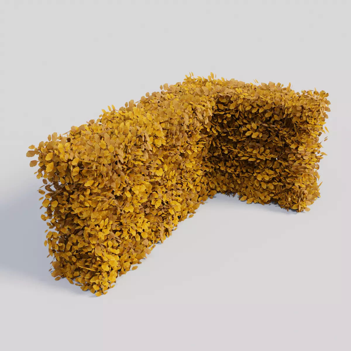 Fagus sylvatica fall 3D model_0