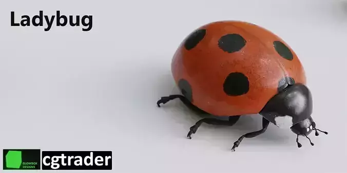 Ladybug 3D model