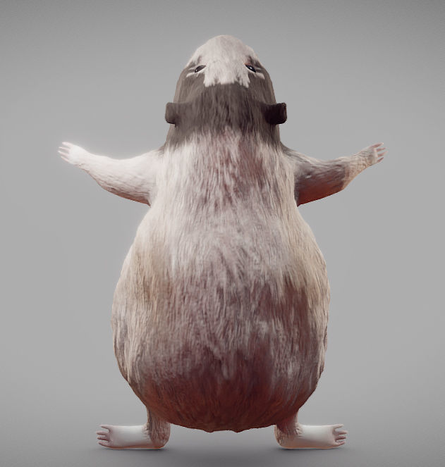 Guinea Pig Internal Anatomy Low-poly 3D model_11