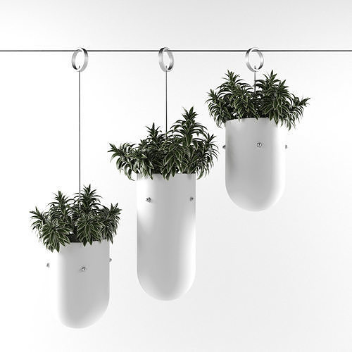 plants-1 three planters hanging on wire 3D model