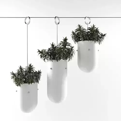 plants-1 three planters hanging on wire