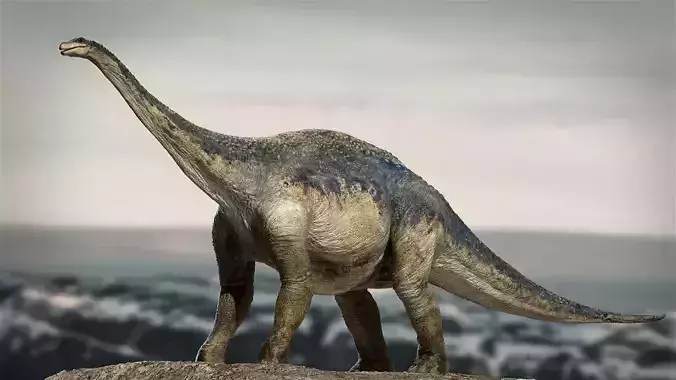argentinosaurus Rigged 3D model Low-poly 3D model