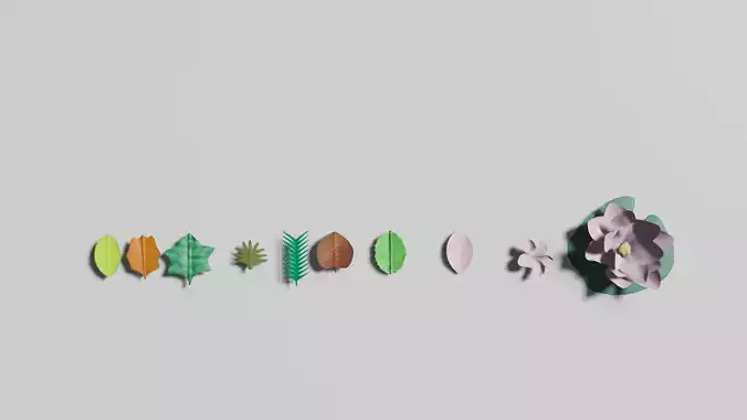 Leaf and flower variety bundle 