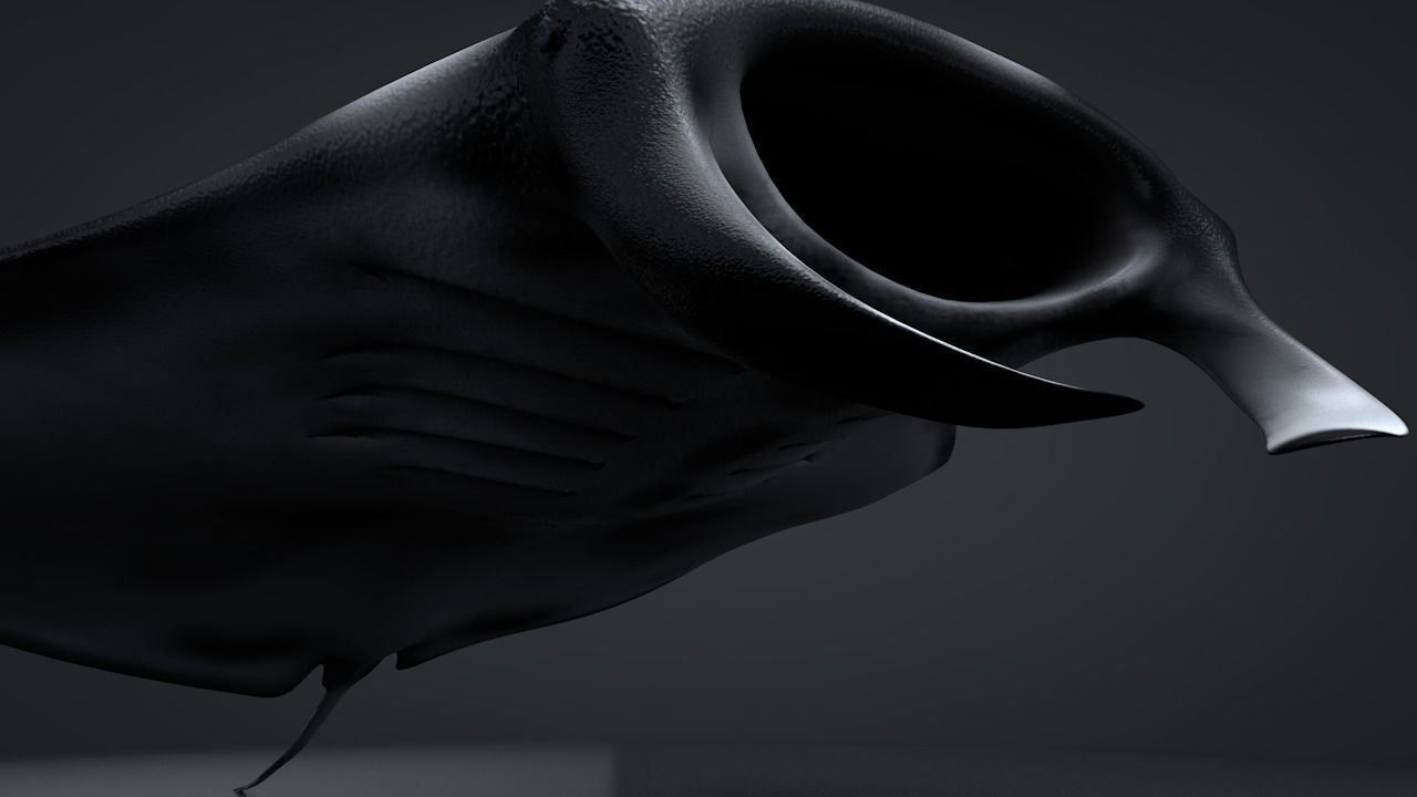Manta Ray  Low-poly 3D model_26