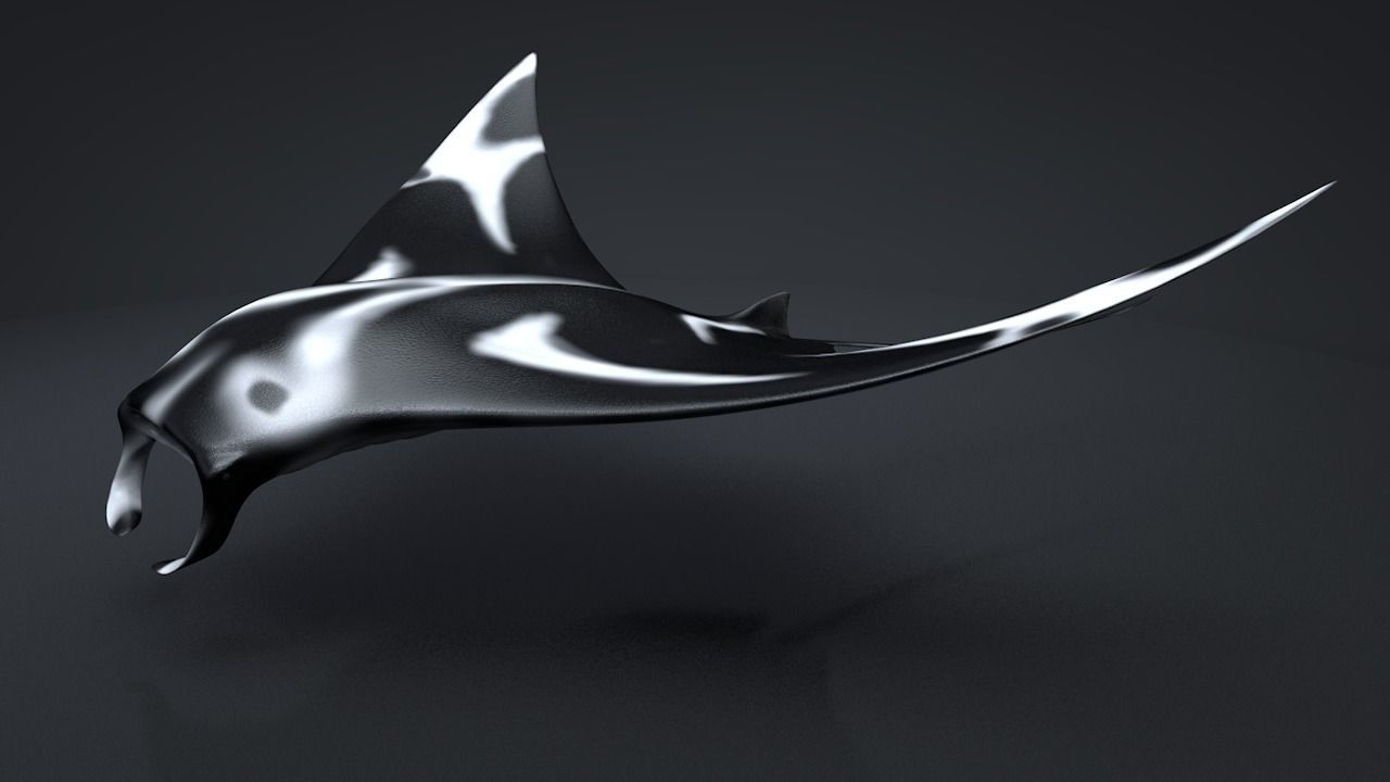 Manta Ray  Low-poly 3D model_17