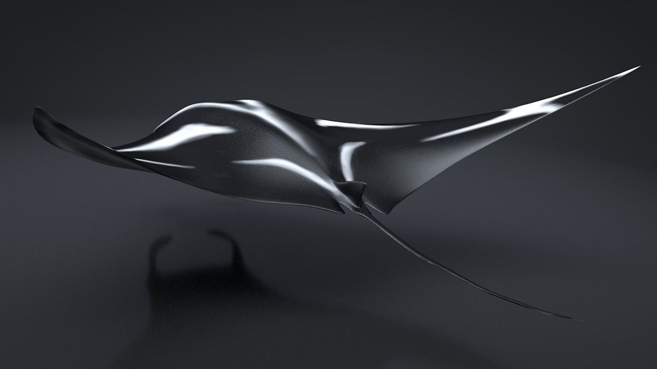 Manta Ray  Low-poly 3D model_20