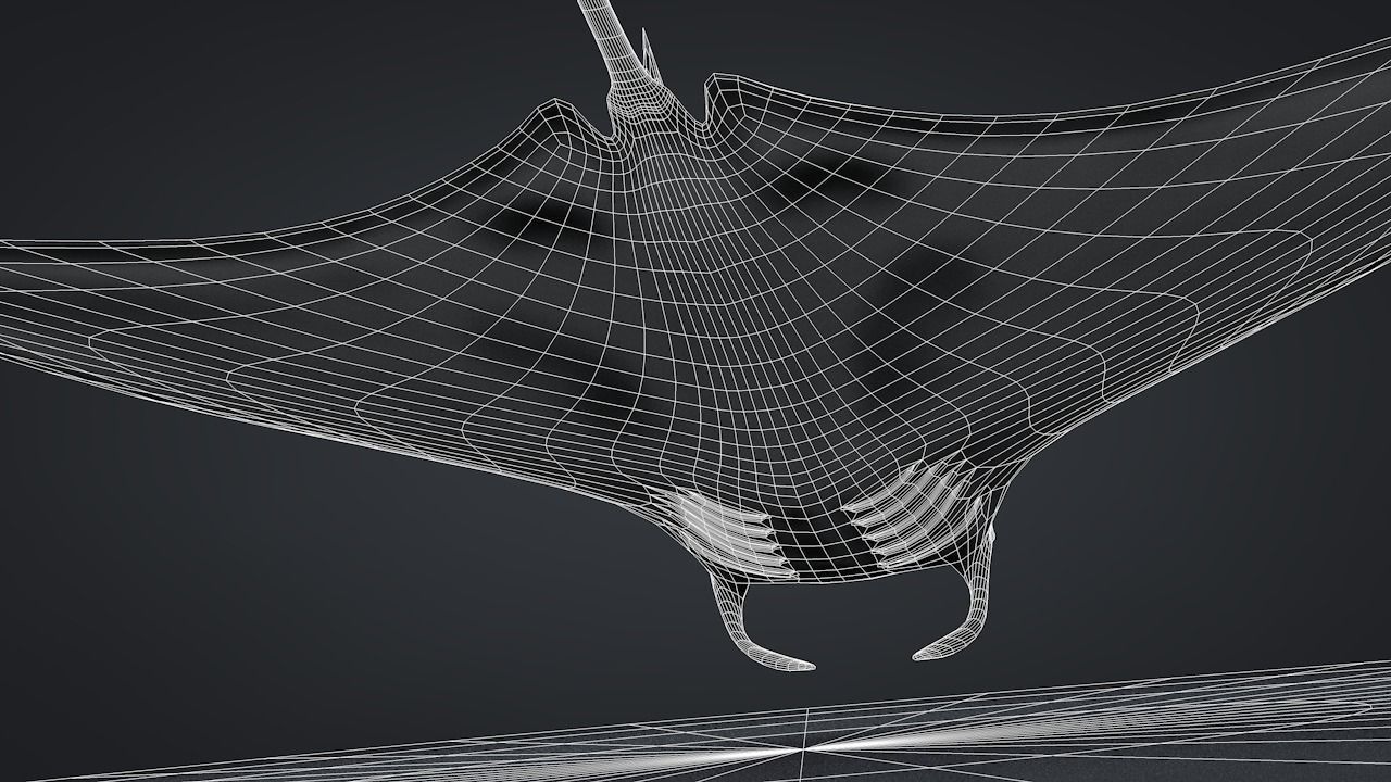 Manta Ray  Low-poly 3D model_37