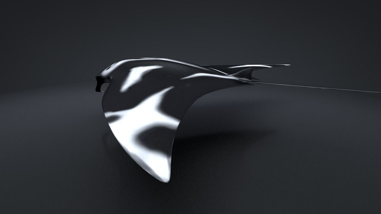 Manta Ray  Low-poly 3D model_13