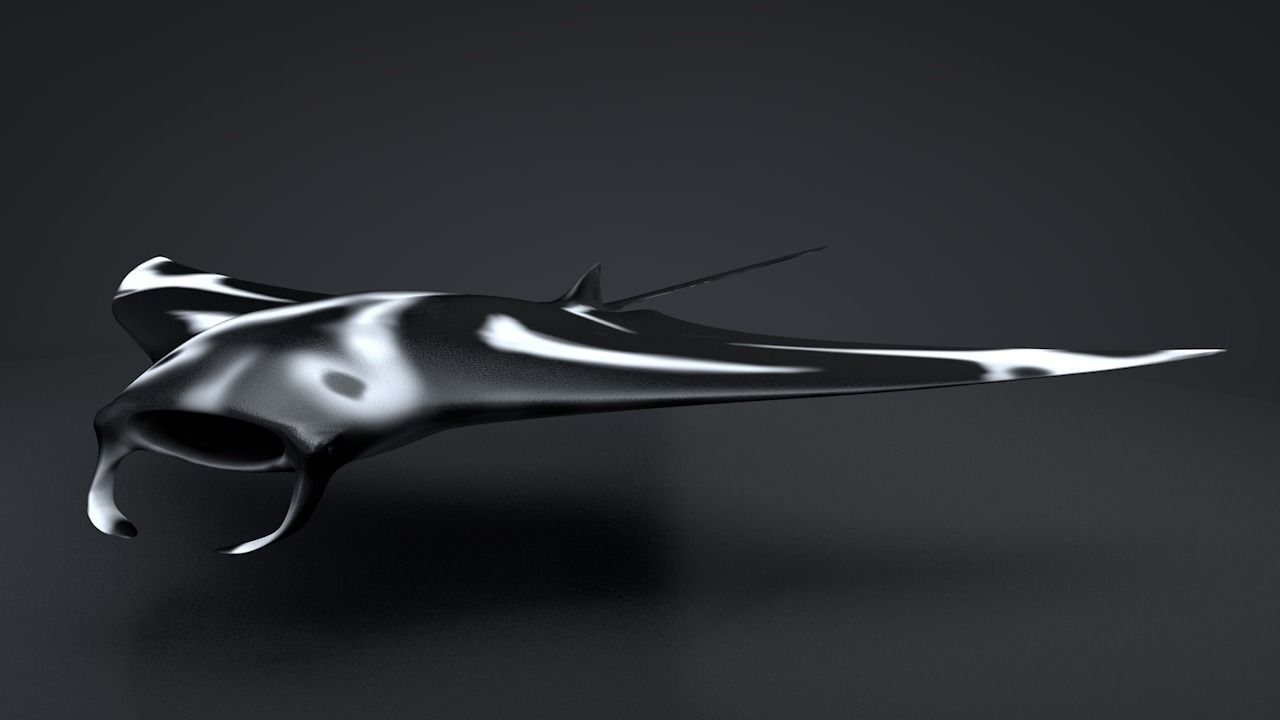 Manta Ray  Low-poly 3D model_3